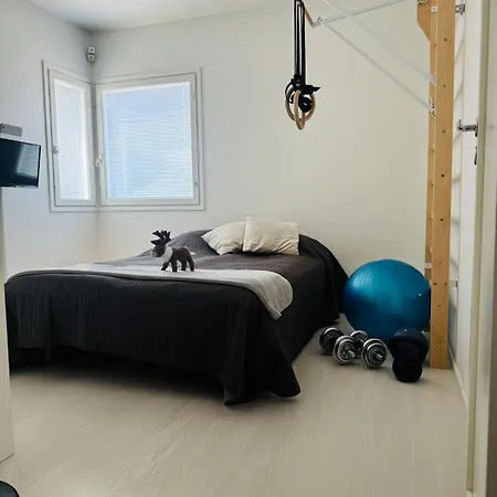 Luxury House In Rovaniemi