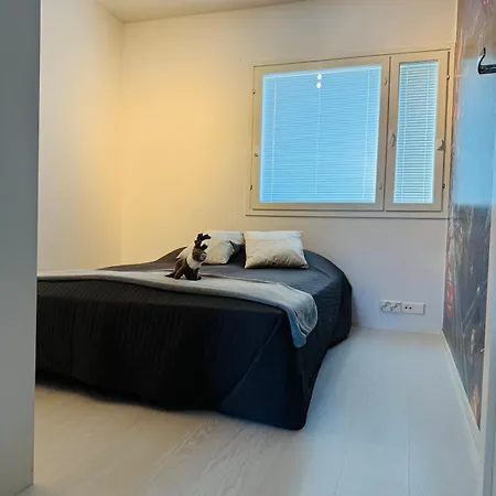 Luxury House In Rovaniemi